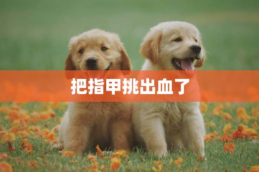 把指甲挑出血了