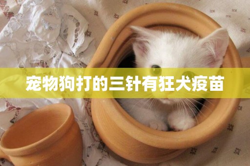 寵物狗打的三針有狂犬疫苗