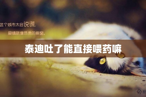 泰迪吐了能直接喂藥嘛