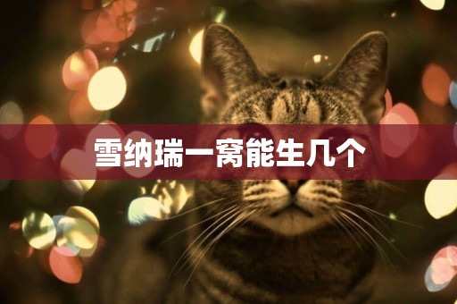 雪納瑞一窩能生幾個