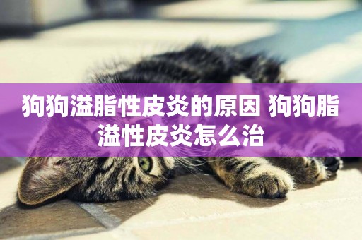 狗狗溢脂性皮炎的原因 狗狗脂溢性皮炎怎么治