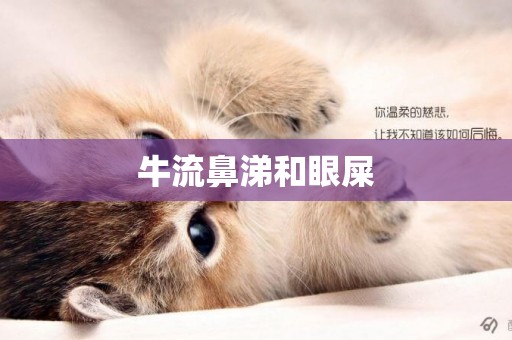 牛流鼻涕和眼屎