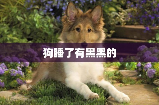 狗睡了有黑黑的