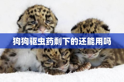 狗狗驅蟲藥剩下的還能用嗎