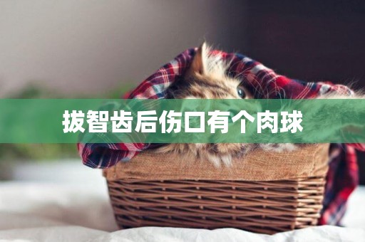 拔智齒后傷口有個肉球
