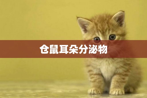 倉鼠耳朵分泌物