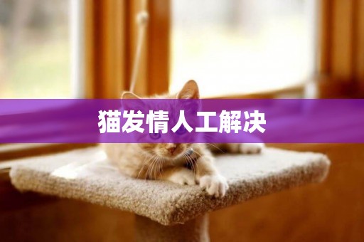 貓發情人工解決