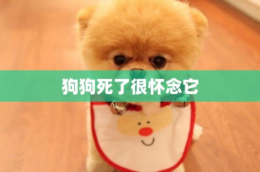 狗狗死了很懷念它