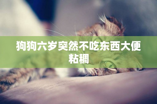 狗狗六歲突然不吃東西大便粘稠