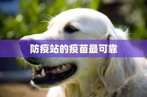 防疫站的疫苗最可靠