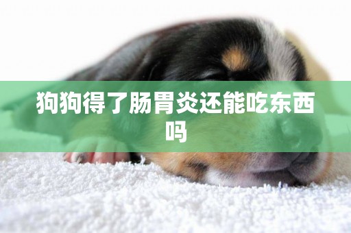 狗狗得了腸胃炎還能吃東西嗎