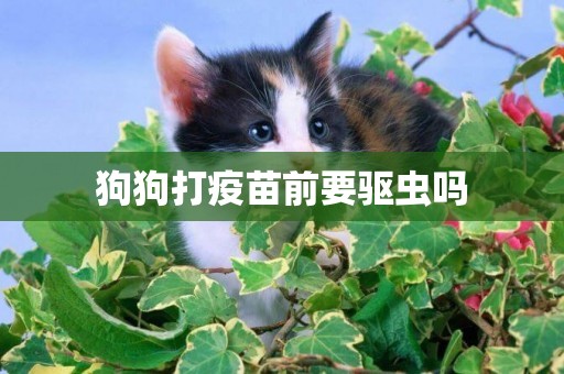 狗狗打疫苗前要驅蟲嗎