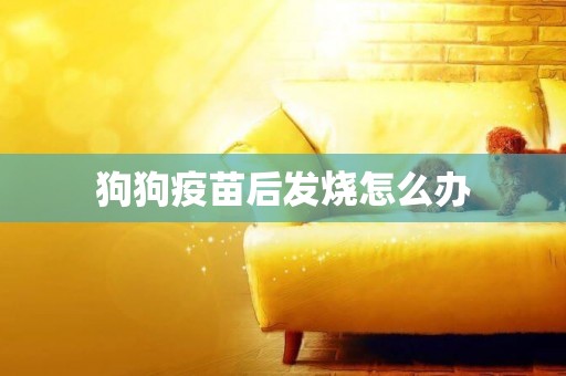 狗狗疫苗后發燒怎么辦