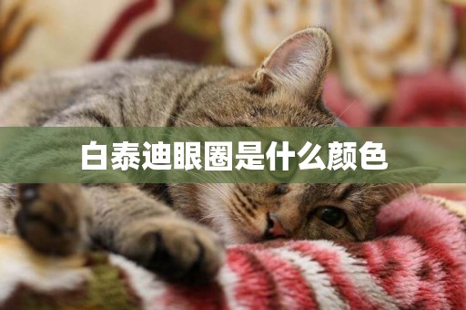 白泰迪眼圈是什么顏色