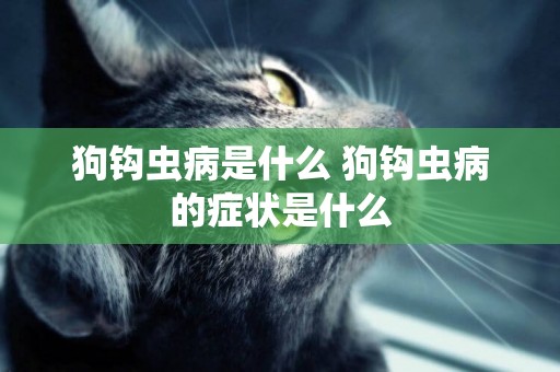 狗鉤蟲病是什么 狗鉤蟲病的癥狀是什么 狗鉤蟲病是什么 狗鉤蟲病的癥狀是什么
