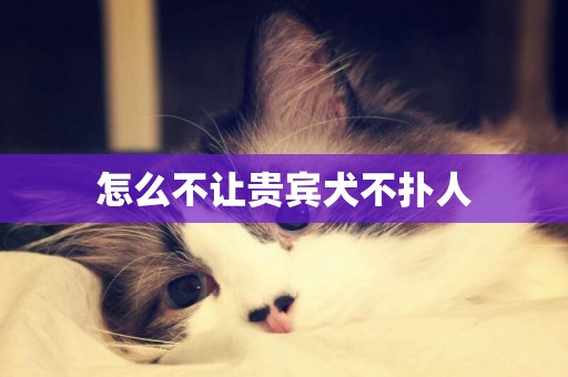 怎么不讓貴賓犬不撲人