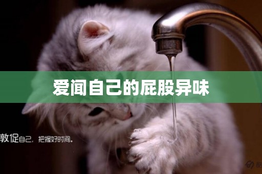 愛聞自己的屁股異味
