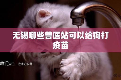 無錫哪些獸醫站可以給狗打疫苗