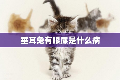 垂耳兔有眼屎是什么病