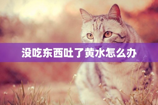 沒吃東西吐了黃水怎么辦