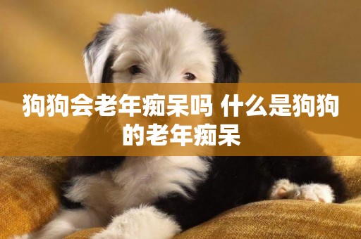 狗狗會老年癡呆嗎 什么是狗狗的老年癡呆