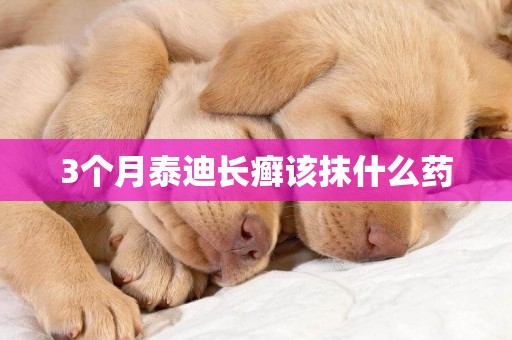 3個月泰迪長癬該抹什么藥