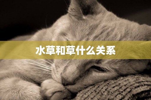 水草和草什么關系