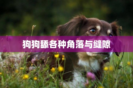 狗狗舔各種角落與縫隙