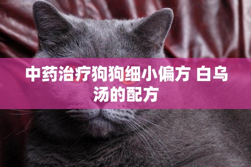 中藥治療狗狗細小偏方 白烏湯的配方