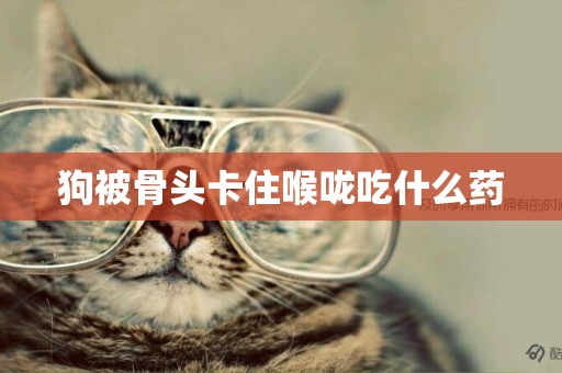 狗被骨頭卡住喉嚨吃什么藥