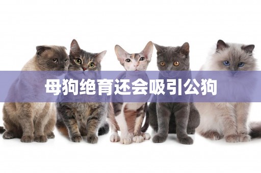 母狗絕育還會吸引公狗