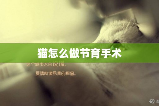 貓怎么做節育手術