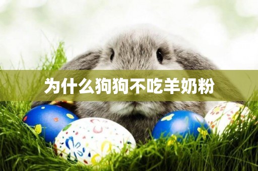 為什么狗狗不吃羊奶粉
