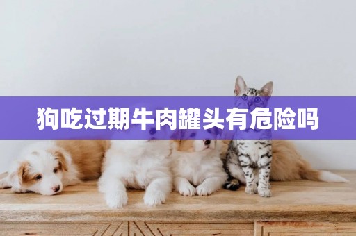 狗吃過期牛肉罐頭有危險嗎