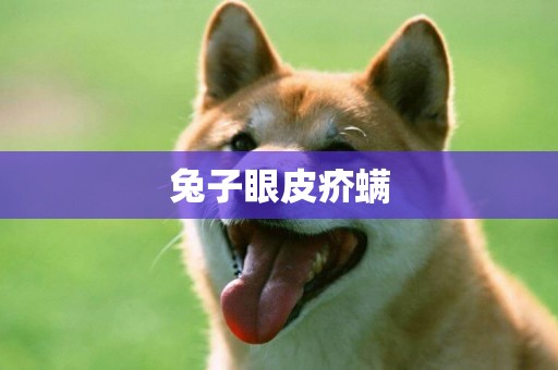 兔子眼皮疥螨