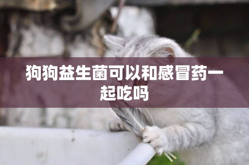 狗狗益生菌可以和感冒藥一起吃嗎