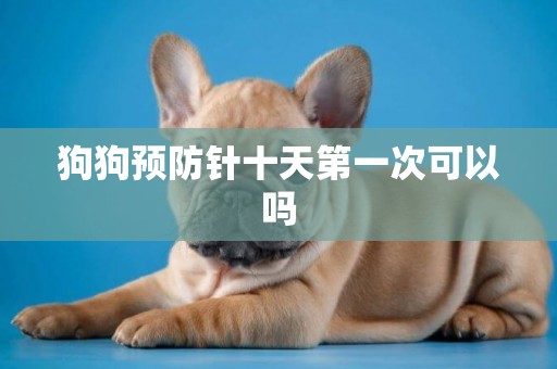狗狗預防針十天第一次可以嗎