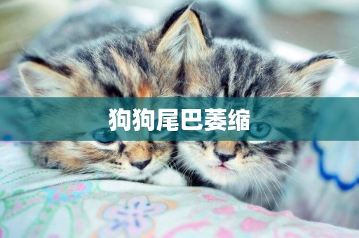 狗狗尾巴萎縮