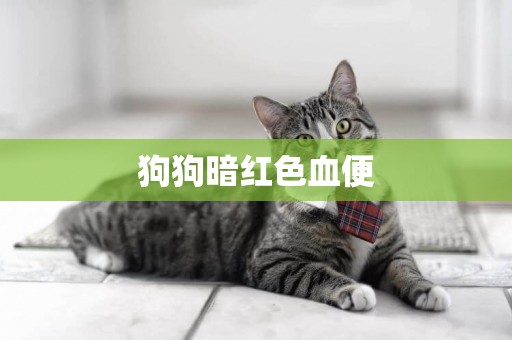 狗狗暗紅色血便
