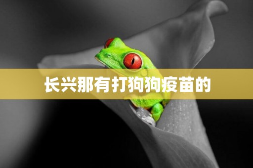 長興那有打狗狗疫苗的