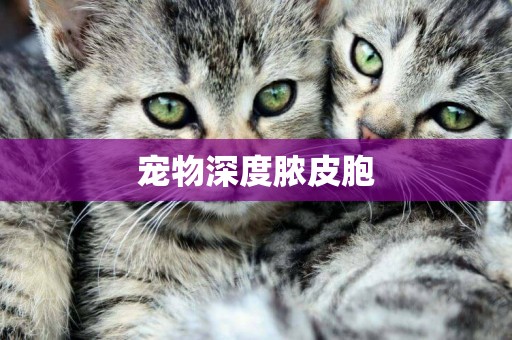 寵物深度膿皮胞
