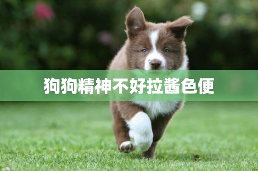 狗狗精神不好拉醬色便