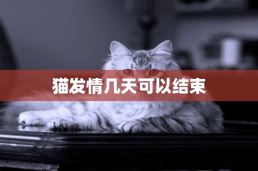 貓發情幾天可以結束