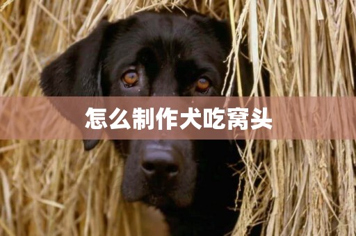 怎么制作犬吃窩頭