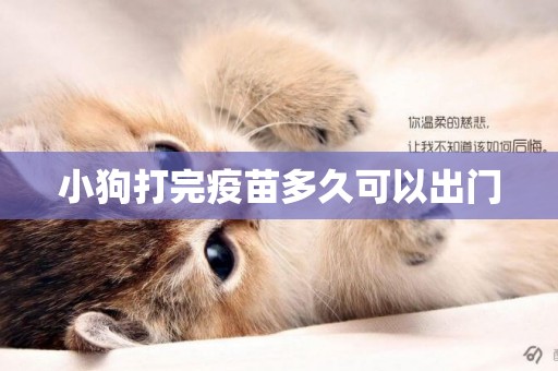 小狗打完疫苗多久可以出門