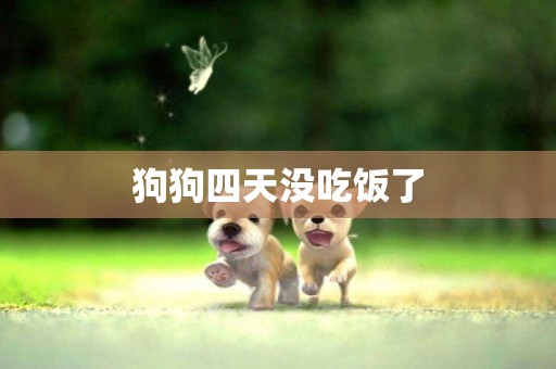 狗狗四天沒吃飯了