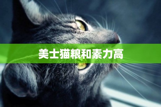 美士貓糧和素力高