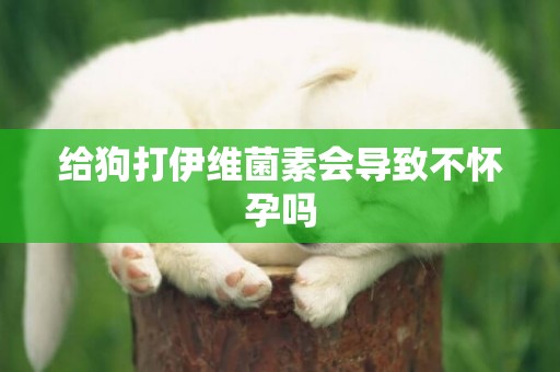 給狗打伊維菌素會導致不懷孕嗎