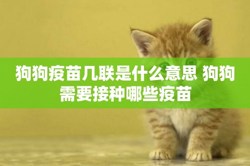 狗狗疫苗幾聯是什么意思 狗狗需要接種哪些疫苗