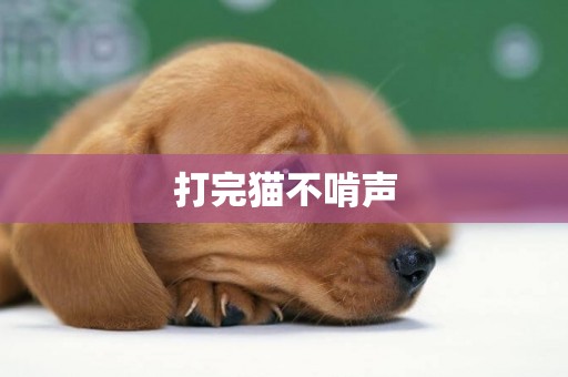 打完貓不啃聲